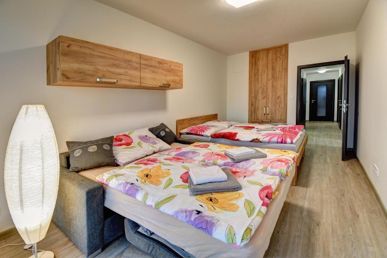 Apartmany Sunny Lipno リプノ・ナト・ヴルタヴォウ エクステリア 写真